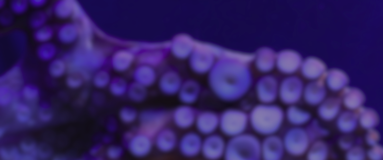 OTI platform for OutSystems automated testing, log monitoring, and release risk reduction.