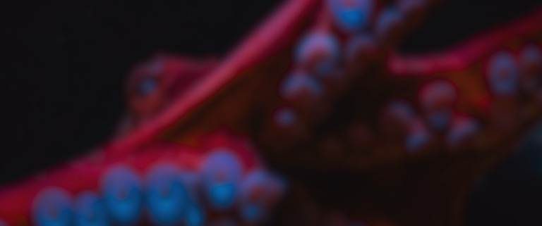 OTI platform for OutSystems automated testing, log monitoring, and release risk reduction.